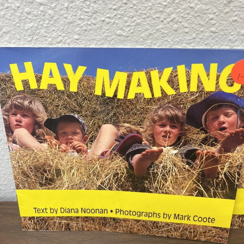 (Lot of 5) Level 1 HAY MAKING Emergent Beginning Readers ( 1st/2nd Grade) Noonan